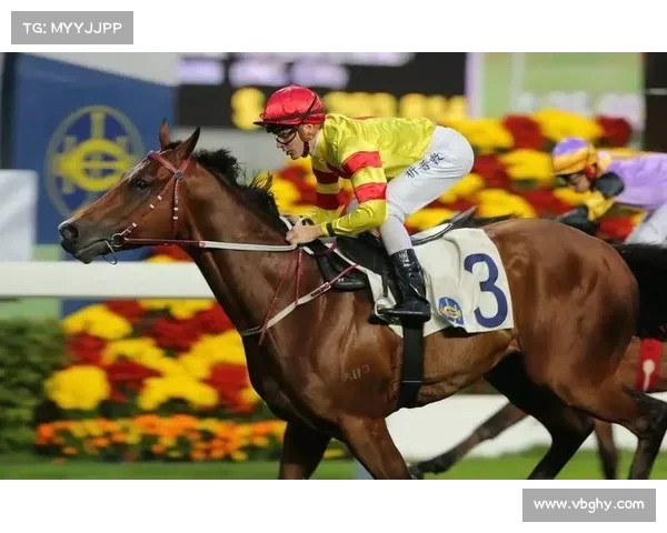 崛起：年轻新星的光芒与挑战